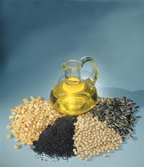 Oil Seeds Manufacturer Supplier Wholesale Exporter Importer Buyer Trader Retailer in Dahod Gujarat India